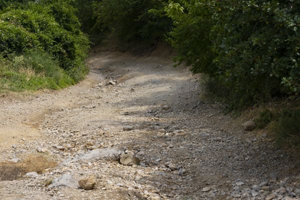 Cost of Gravel Road Pothole Repair in Greenville