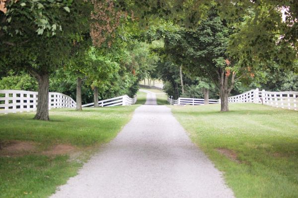 Cost of Gravel Road Installation in Greenville